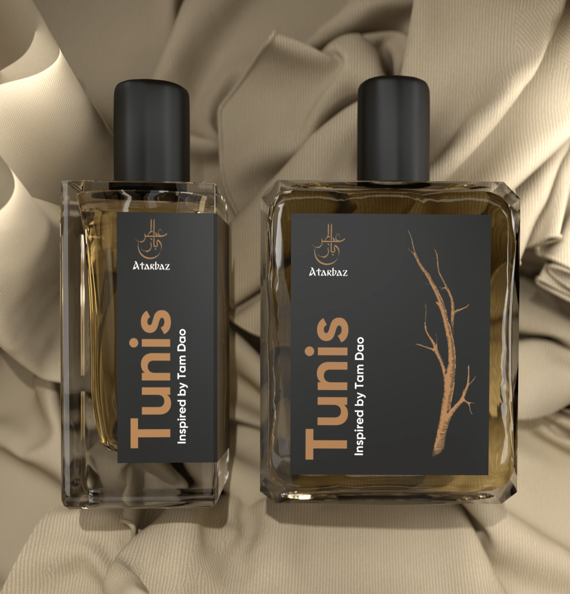 Tunis - Inspired by Tam Dao - Atarbaz